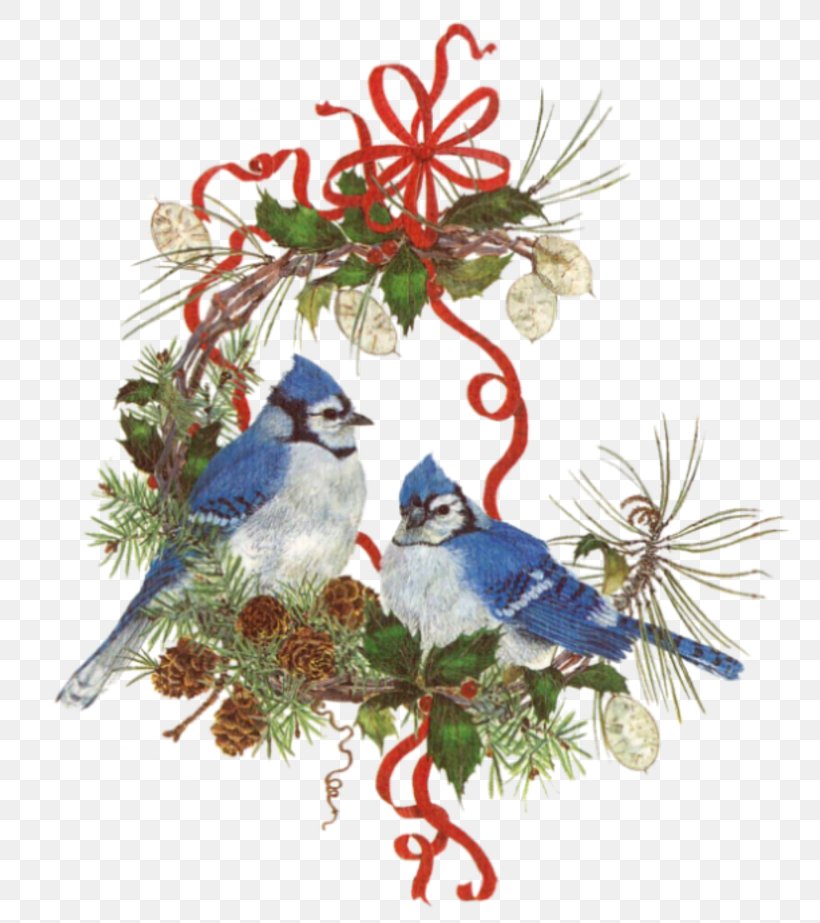 Bird Christmas Ornament Christmas Decoration, PNG, 800x923px, Watercolor, Cartoon, Flower, Frame, Heart Download Free