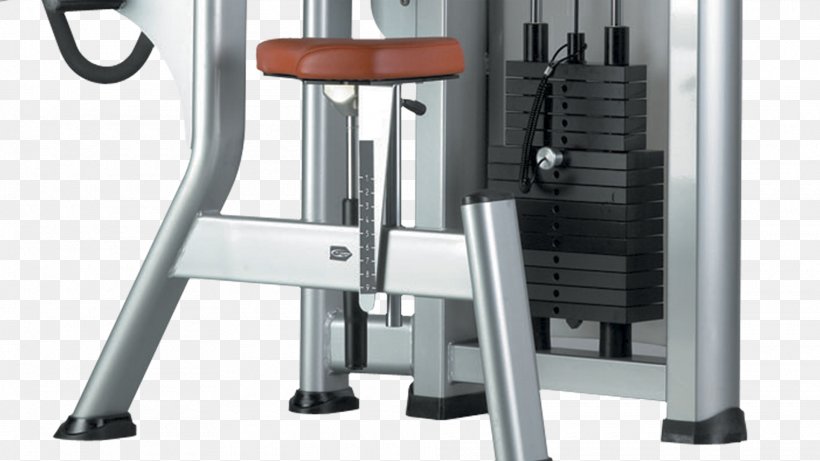 Crunch Weight Machine Weight Training Physical Fitness Exercise, PNG, 1920x1080px, Crunch, Bench Press, Biceps, Biceps Curl, Bodybuilding Download Free