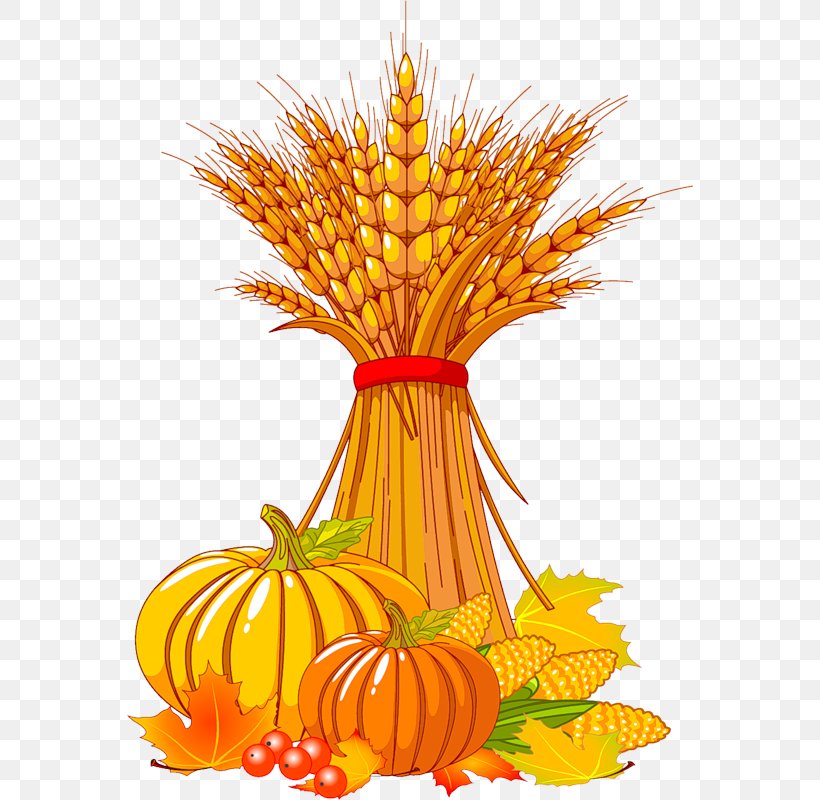 Harvest Festival Clip Art PNG X Px Harvest Autumn Commodity Crop Flower Download Free