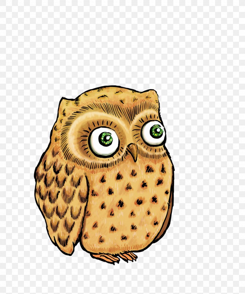 Owl Stock.xchng T-shirt Illustration Clothing, PNG, 1066x1280px, Owl, Barn Owl, Beak, Bird, Bird Of Prey Download Free