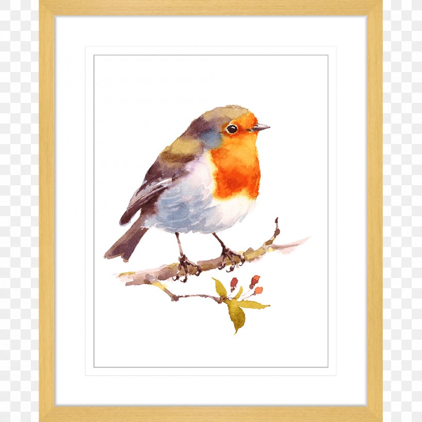 European Robin Bird Watercolor Painting Drawing, PNG, 1000x1000px, Robin, Art, Beak, Bird, Branch Download Free