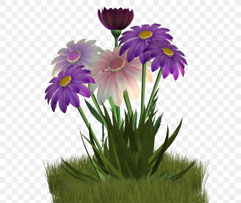 Flower Clip Art, PNG, 600x689px, Flower, Annual Plant, Aster, Cut Flowers, Daisy Download Free