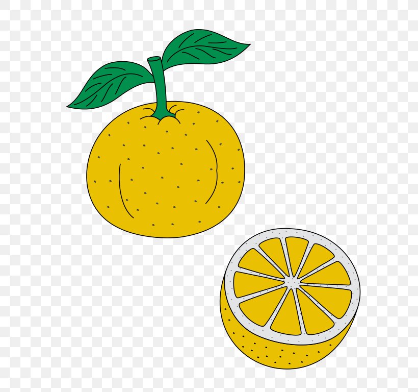 Lemon Citron Wikipedia Yuzu Orange, PNG, 727x768px, Lemon, Citron, Citrus, Encyclopedia, Flowering Plant Download Free