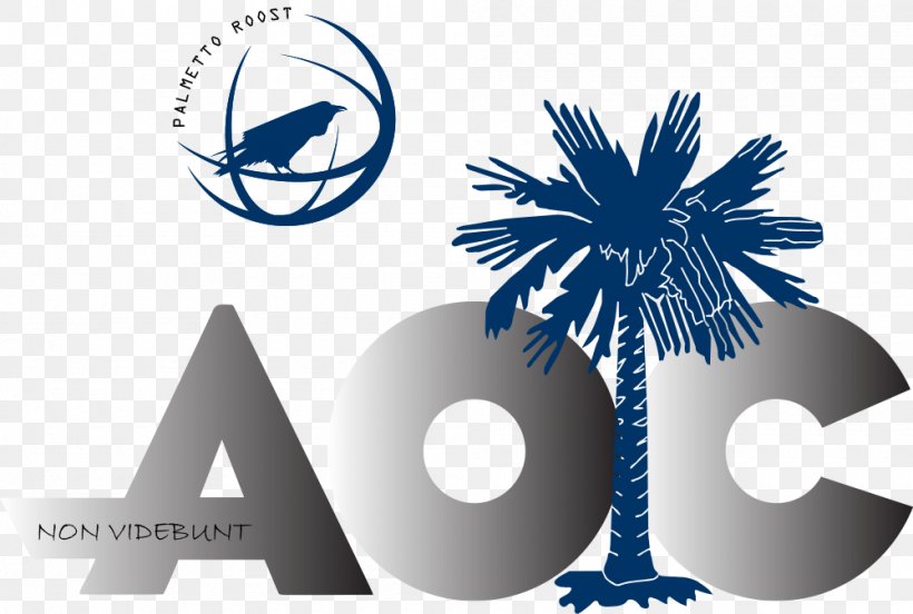 Sabal Palm Flag Of South Carolina Arecaceae Palmetto Properties Of Mb Business, PNG, 1000x674px, Sabal Palm, Arecaceae, Blue, Brand, Business Download Free