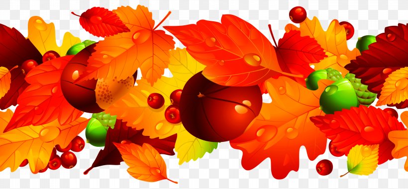 Autumn Fruit, PNG, 2999x1397px, Gostinyy Dvor, Autumn, Flower, Fruit, Leaf Download Free
