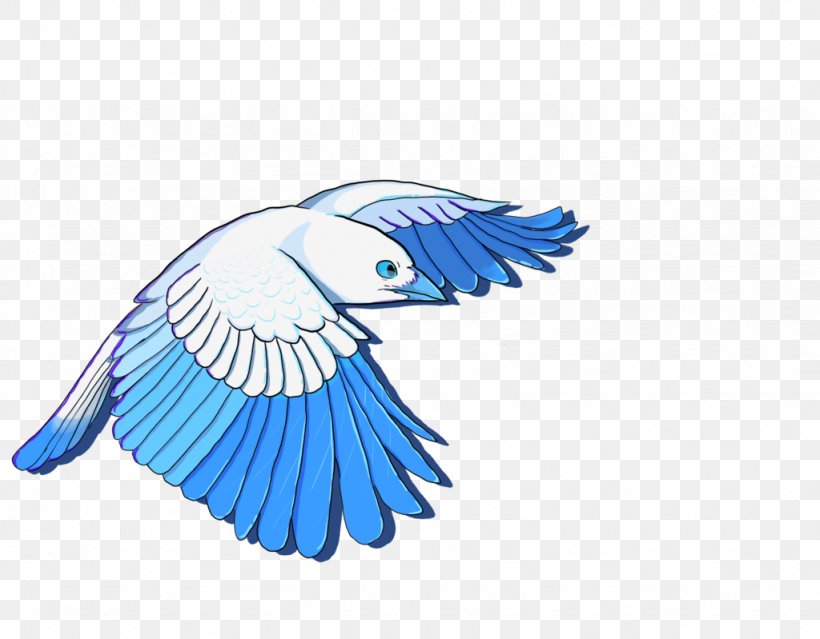 Macaw Bird Parakeet Beak Feather, PNG, 1024x799px, Macaw, Beak, Bird, Bird Of Prey, Common Pet Parakeet Download Free