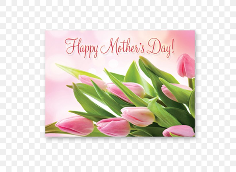 Mother's Day Floral Design Gift Tulip, PNG, 600x600px, Mother, Banquet, Brochure, Cut Flowers, Floral Design Download Free