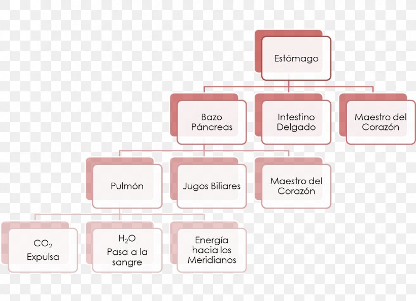 Organizational Chart Diagram Flowchart, PNG, 1338x969px, Organizational Chart, Area, Brand, Business, Chart Download Free