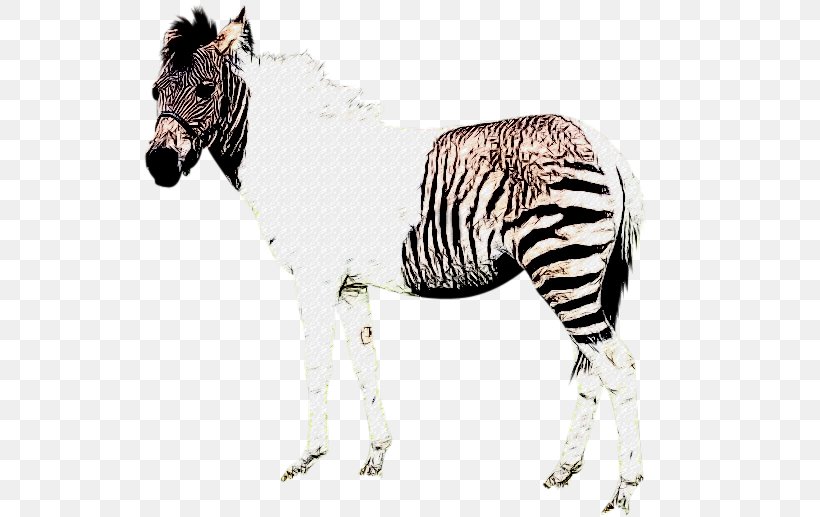 Quagga Okapi Mane Zebra Mustang, PNG, 600x517px, Quagga, Animal, Animal Figure, Draft Horse, Foal Download Free
