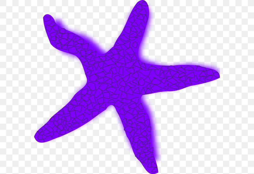 Starfish Free Content Clip Art, PNG, 600x563px, Starfish, Blog, Brittle Star, Echinoderm, Free Content Download Free