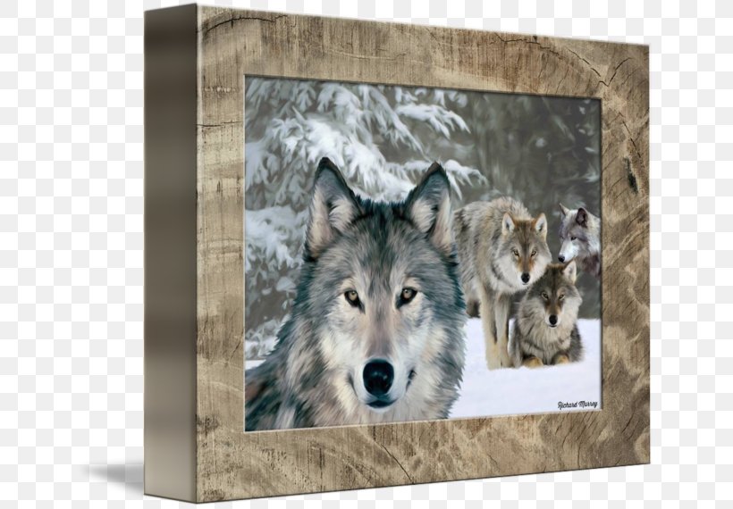 Wolfdog Coyote Gray Wolf PlayStation 4 Decal, PNG, 650x570px, Wolfdog, Coyote, Decal, Dog Like Mammal, Fauna Download Free