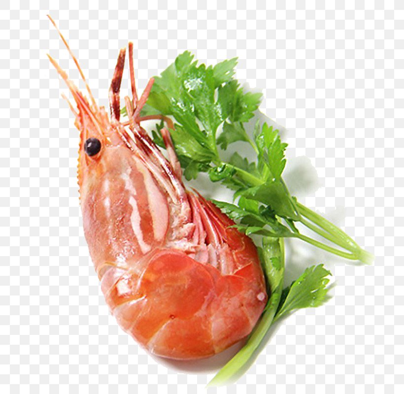 Caridea Shrimp U7261u4e39u867e, PNG, 800x800px, Caridea, Animal Source Foods, Caridean Shrimp, Decapoda, Dendrobranchiata Download Free