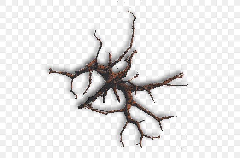 Tree Branch Twig Plant Organism, PNG, 567x540px, Tree, Branch, Chestnut, Computer Software, Death Download Free