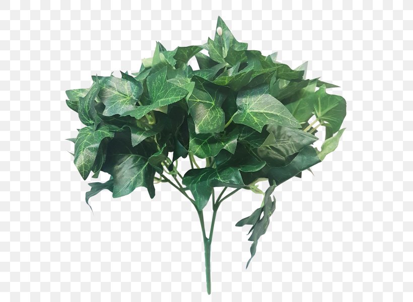 Capsicum Annuum Leaf Vegetable Plant Stem Lettuce, PNG, 800x600px, Capsicum Annuum, Annual Plant, Cauliflower, Flowerpot, Food Download Free