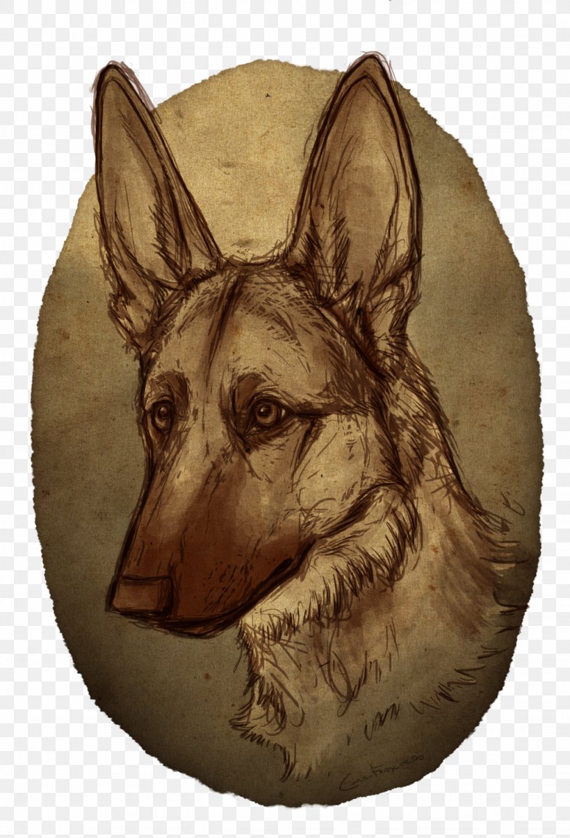 Dog Breed German Shepherd Drawing Snout, PNG, 1024x1505px, Dog Breed, Breed, Carnivoran, Dog, Dog Breed Group Download Free