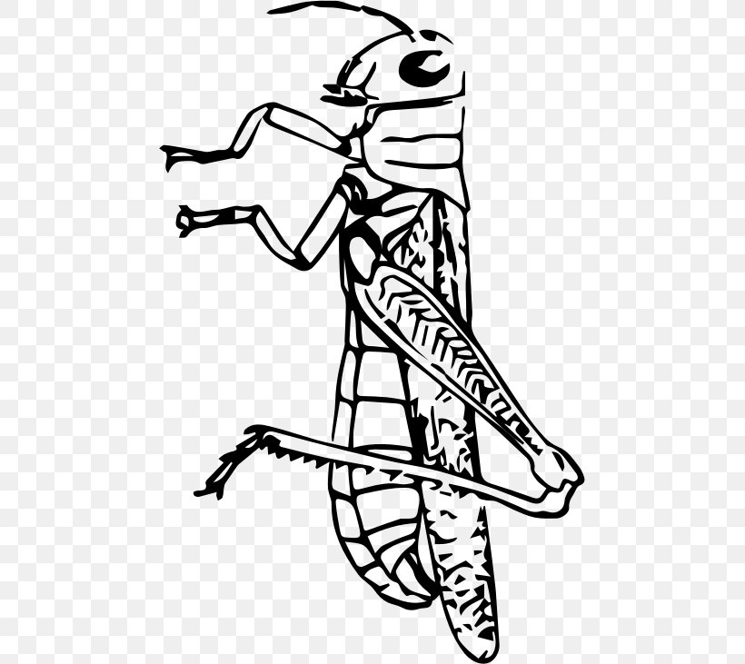 Insect Black And White Grasshopper Clip Art, PNG, 469x731px, Insect, Arm, Art, Artwork, Beak Download Free