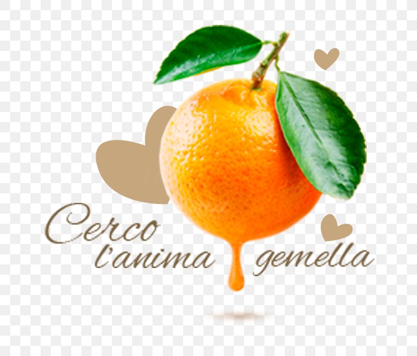 Orange Juice Mandarin Orange Clementine Fruit, PNG, 700x700px, Juice, Bitter Orange, Citric Acid, Citrus, Clementine Download Free
