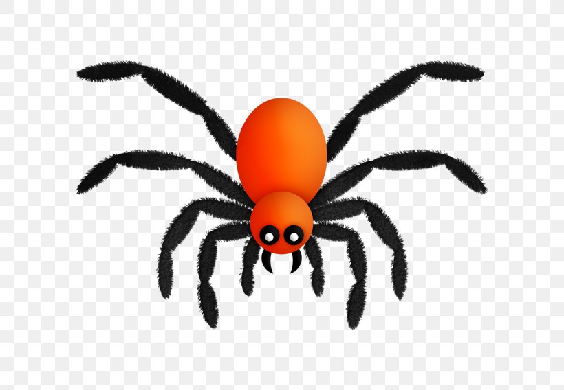 Spider, PNG, 756x568px, Spider, Arachnid, Arthropod, Artworks, Cartoon Download Free