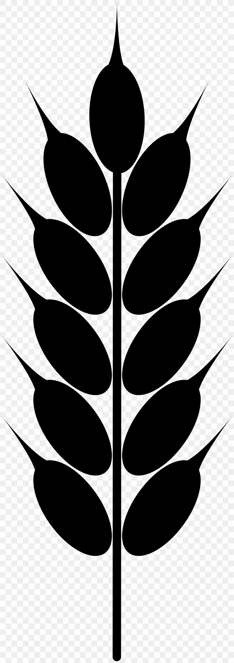 Wheat Grain Clip Art, PNG, 1331x3764px, Wheat, Black And White, Branch, Cereal, Drawing Download Free