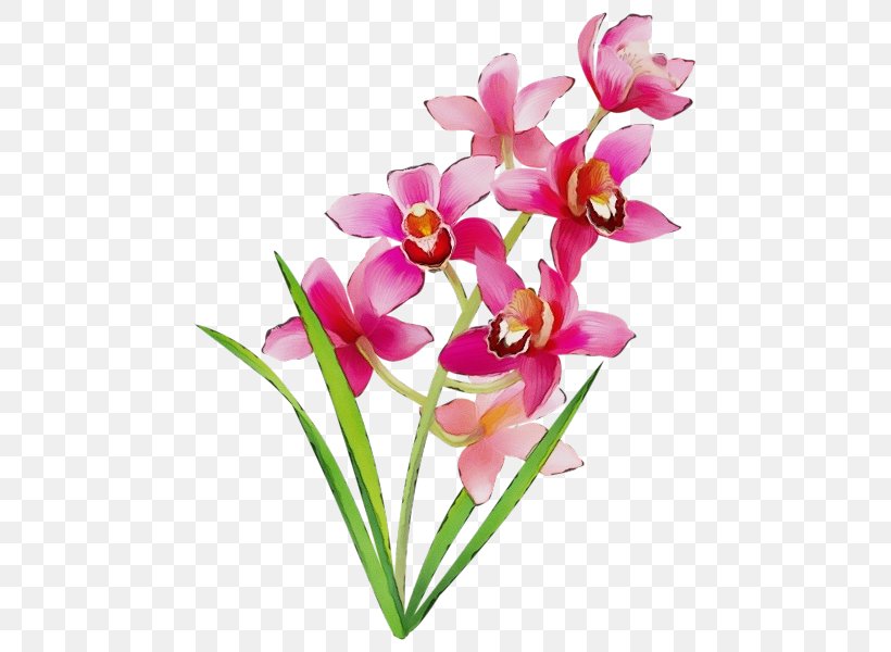 Flower Petal Cut Flowers Pink Plant, PNG, 479x600px, Watercolor, Cut Flowers, Flower, Ixia, Paint Download Free