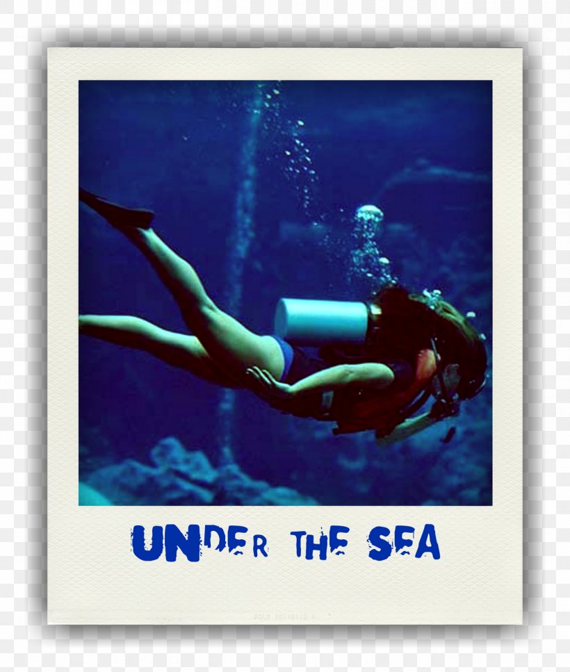 Tulamben Scuba Diving Divemaster Underwater Diving C-card, PNG, 1356x1600px, Tulamben, Bali, Ccard, Dive Center, Divemaster Download Free