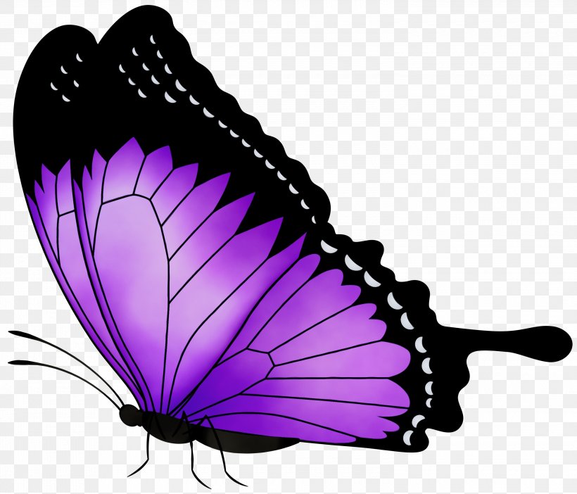 Butterfly Insect Moths And Butterflies Purple Violet, PNG, 3000x2570px, Watercolor, Butterfly, Insect, Moths And Butterflies, Paint Download Free