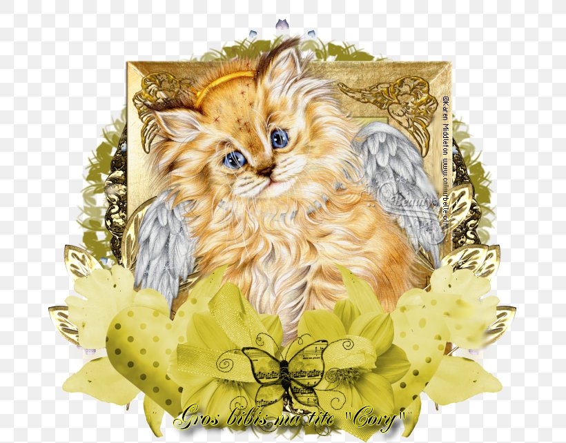 Kitten Maine Coon Whiskers Tabby Cat Maillochon Dominique, PNG, 699x642px, 2015, 2017, Kitten, Carnivoran, Cat Download Free