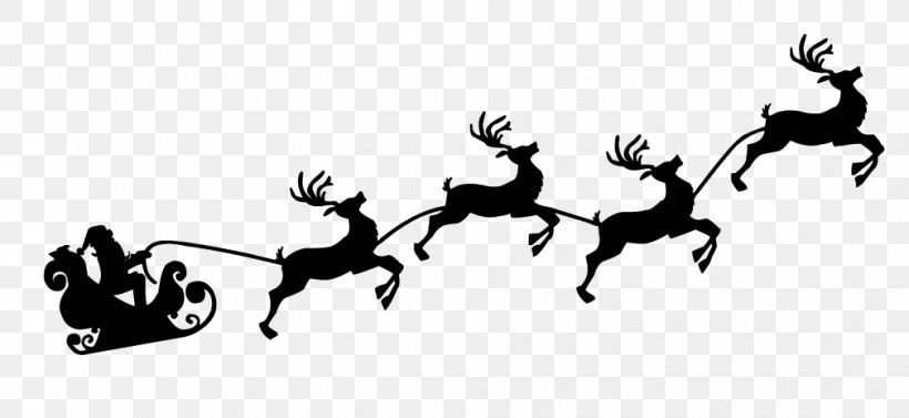 Reindeer, PNG, 1009x464px, Deer, Reindeer Download Free