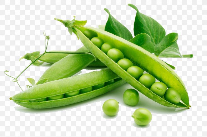 Snap Pea Vegetable Food Heirloom Plant, PNG, 1024x678px, Pea, Bean, Commodity, Diet Food, Food Download Free