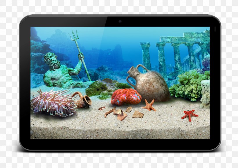 Coral Reef Fish Aquariums Ecosystem Marine Biology, PNG, 1277x900px, Coral Reef Fish, Aquarium, Aquariums, Biology, Coral Download Free