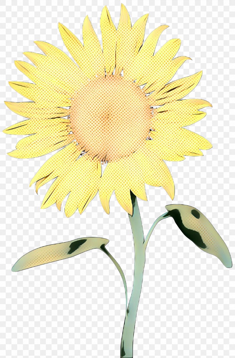 Cut Flowers Common Sunflower Floral Design Plant Stem Sunflower Seed, PNG, 1970x3000px, Cut Flowers, Asterales, Botany, Common Sunflower, Daisy Download Free