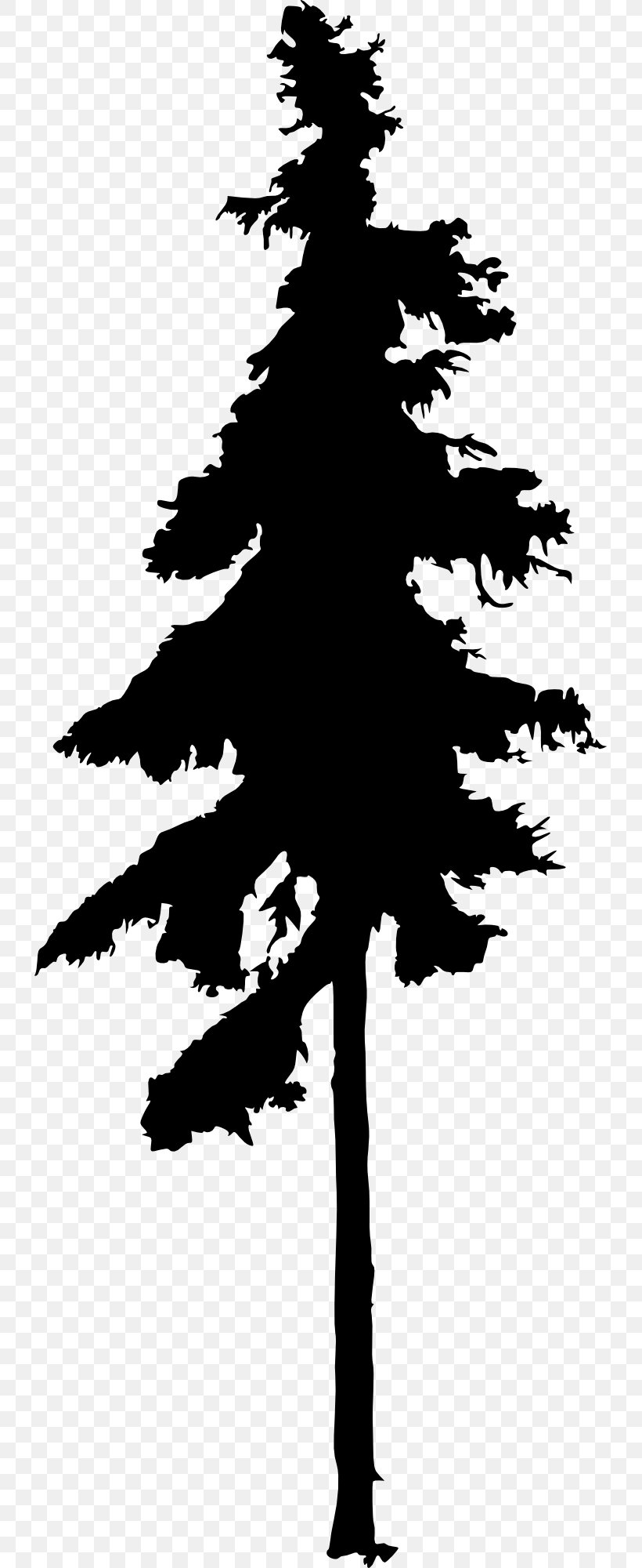 Fir Tree Drawing Silhouette Conifers, PNG, 731x2000px, Fir, Black And White, Branch, Christmas Tree, Conifer Download Free