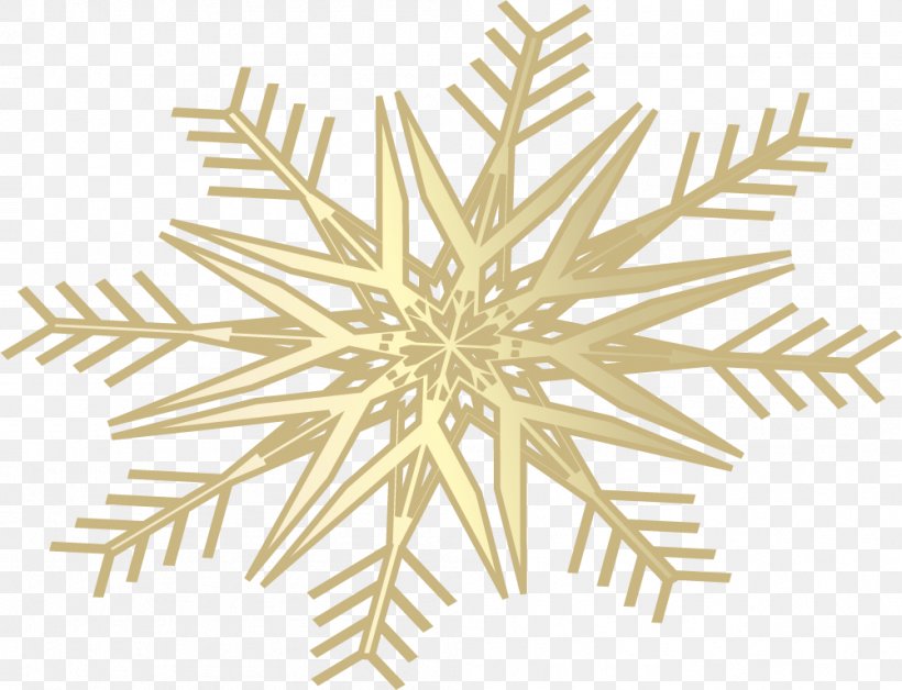 Snowflake Schema, PNG, 1001x767px, Snowflake Schema, Animation, Button, Cartoon, Decor Download Free