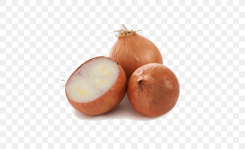 Yellow Onion Shallot Red Onion Vegetable, PNG, 500x500px, Yellow Onion, Food, Ingredient, Onion, Red Download Free