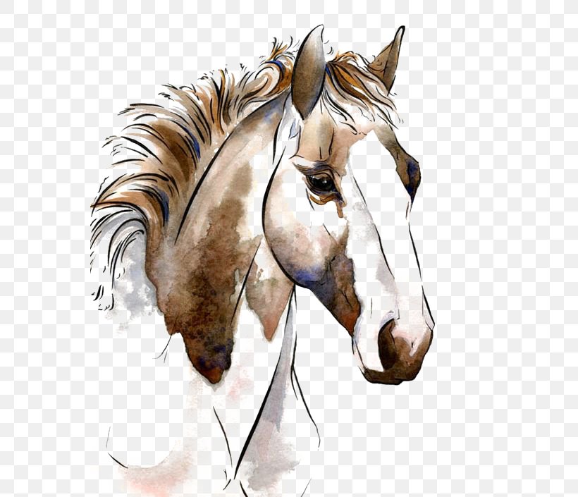 American Paint Horse Watercolor Painting Horses In Art Equestrianism, PNG, 564x705px, American Paint Horse, American Quarter Horse, Andalusian Horse, Arabian Horse, Art Download Free