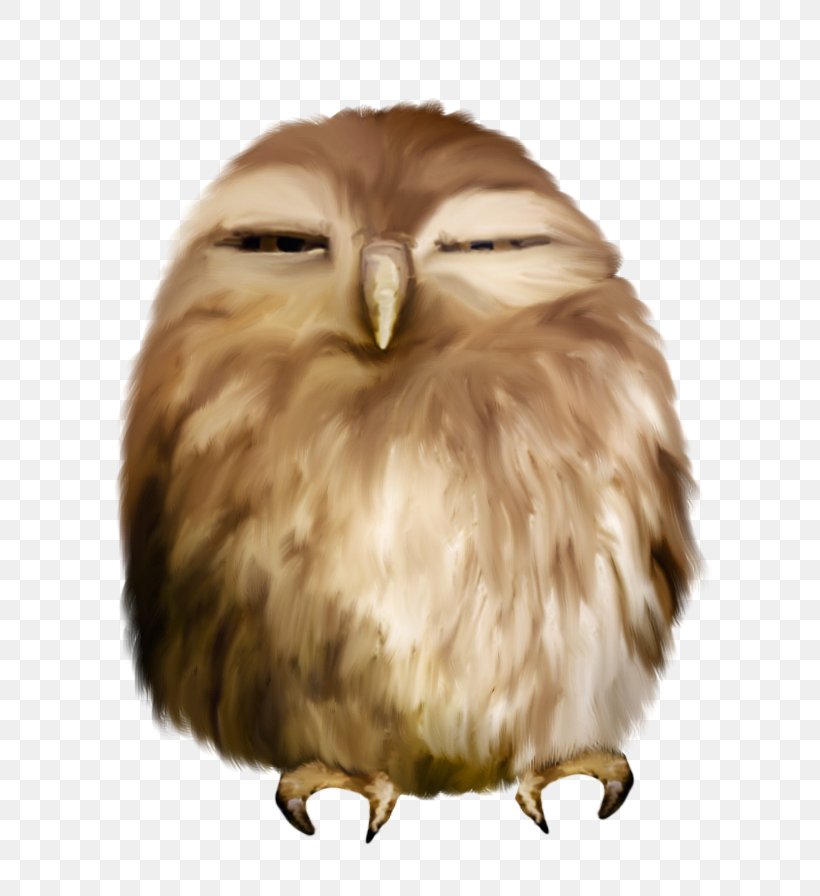 Owl Animation Clip Art, PNG, 712x896px, Owl, Animation, Beak, Bird, Bird Of Prey Download Free