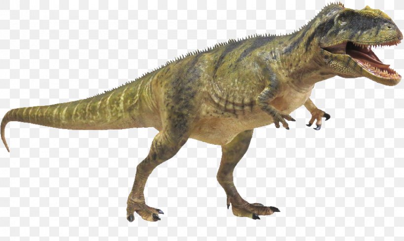 Tyrannosaurus Velociraptor Terrestrial Animal, PNG, 873x521px, Tyrannosaurus, Animal, Animal Figure, Dinosaur, Extinction Download Free