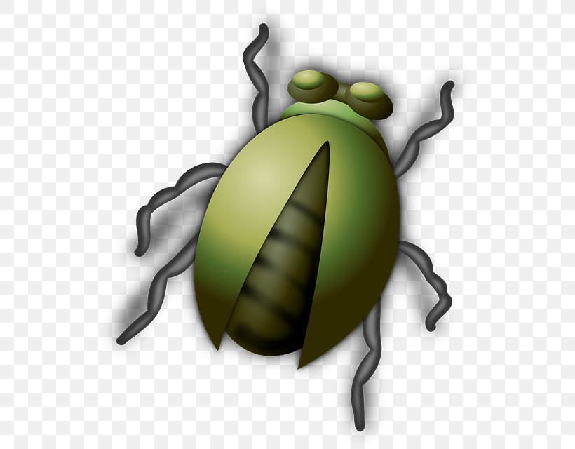 Beetle Clip Art, PNG, 539x640px, Beetle, Amphibian, Arthropod, Bee, Black And White Download Free