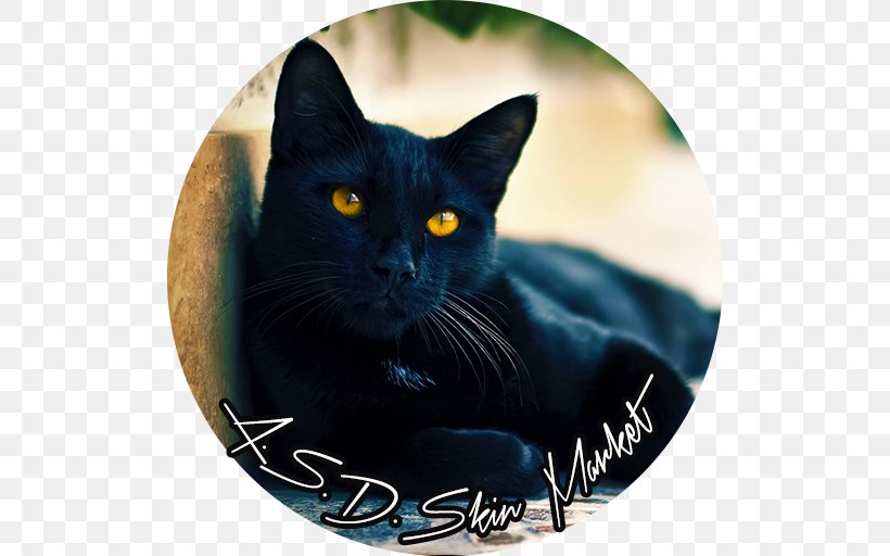 Bombay Cat Kitten Burmese Cat Black Cat Dog, PNG, 512x512px, Bombay Cat, Black, Black Cat, Bombay, Burmese Cat Download Free