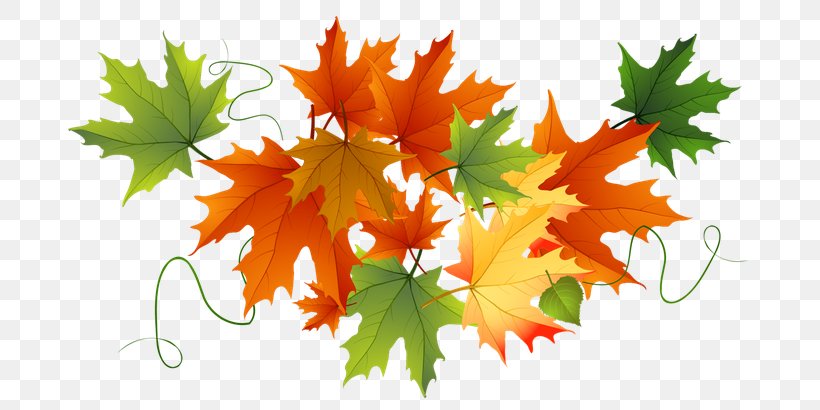 Clip Art Autumn Leaf Color Image, PNG, 700x410px, Autumn Leaf Color, Autumn, Leaf, Maple Leaf, Maple Tree Download Free