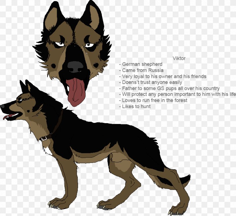 Dog Breed German Shepherd Leash Snout, PNG, 850x777px, Dog Breed, Breed, Carnivoran, Dog, Dog Breed Group Download Free