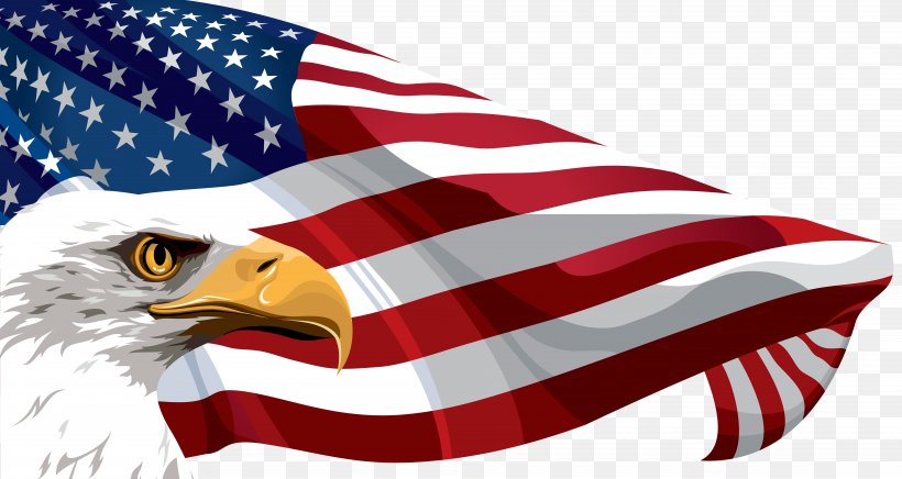 Flag Of The United States Clip Art, PNG, 8000x4259px, United States, Bald Eagle, Beak, Bird, Bird Of Prey Download Free