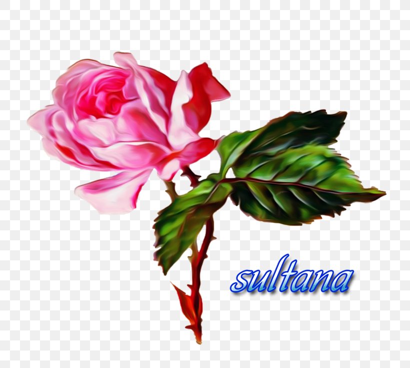 Flower Bouquet Garden Roses Floral Design, PNG, 800x735px, Flower, Animation, Artificial Flower, Birth Flower, Cut Flowers Download Free