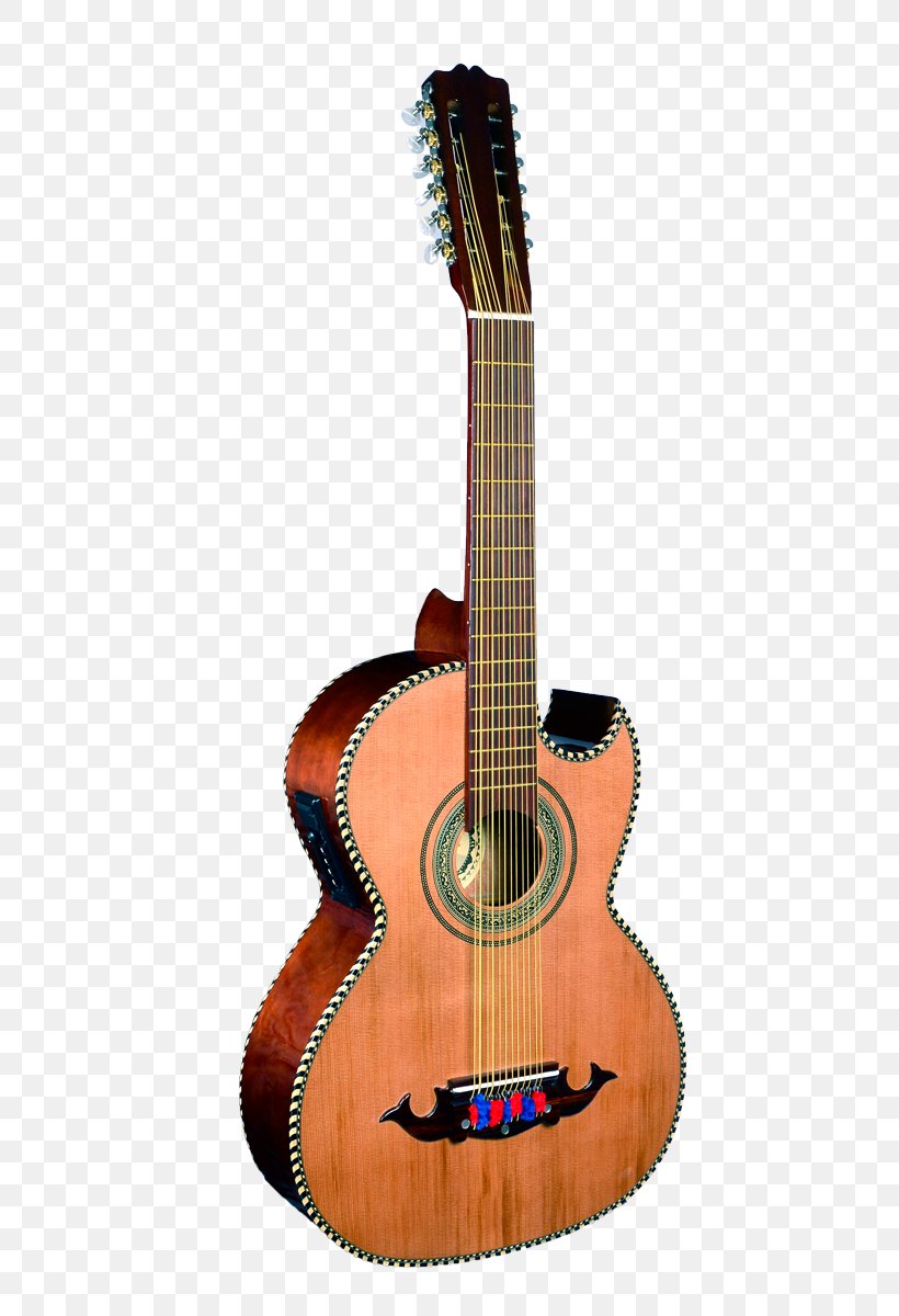 Alhambra Classical Guitar Acoustic Guitar Flamenco Guitar, PNG, 800x1200px, Watercolor, Cartoon, Flower, Frame, Heart Download Free