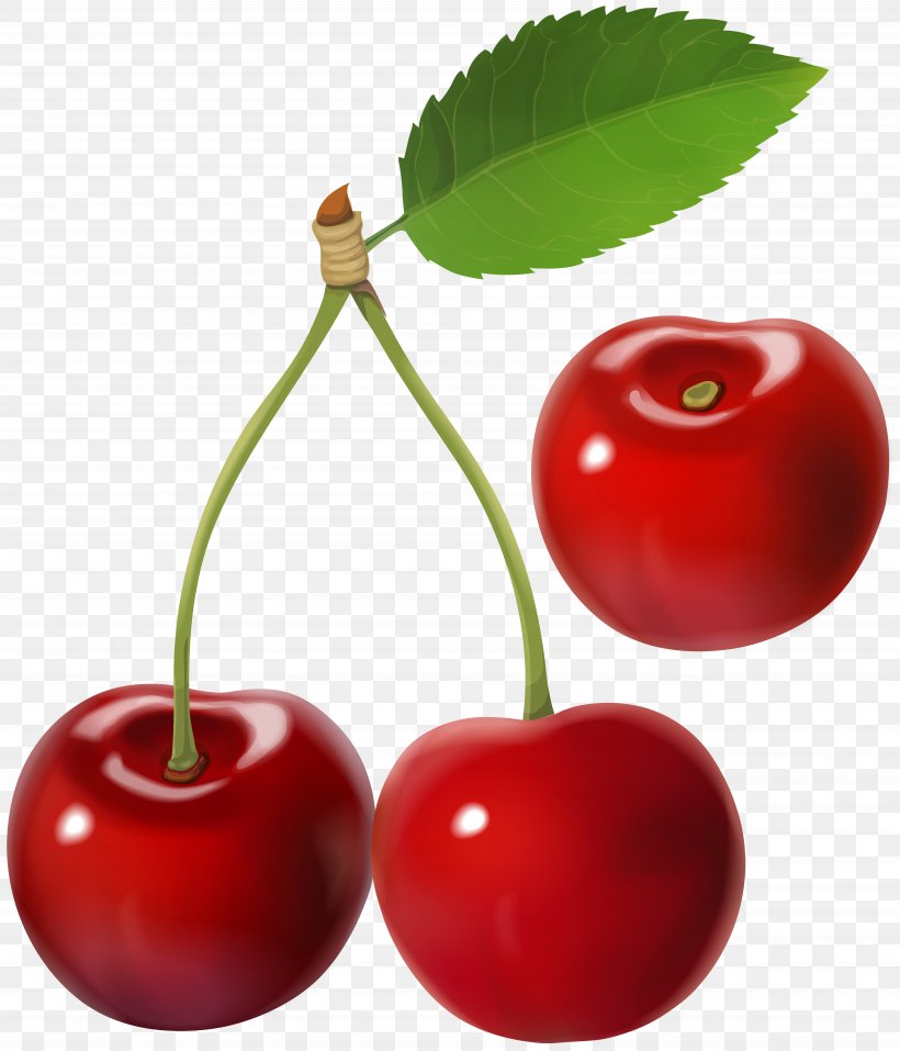 Barbados Cherry Clip Art, PNG, 6854x8000px, Barbados Cherry, Accessory Fruit, Acerola, Acerola Family, Apple Download Free