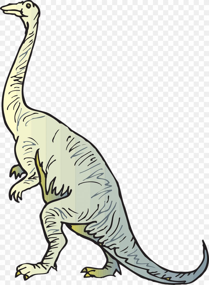 Diplodocus Brachiosaurus Dinosaur Coloring Book Brontosaurus, PNG, 938x1280px, Diplodocus, Animal Figure, Beak, Big Cats, Brachiosaurus Download Free