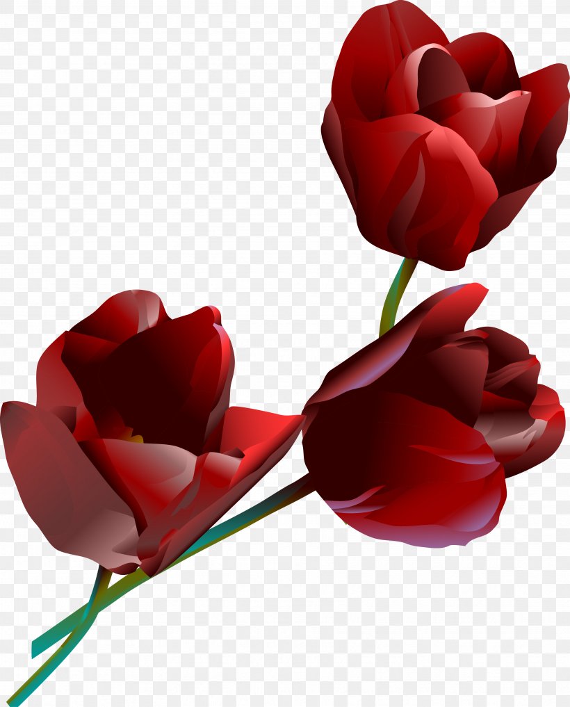 Garden Roses, PNG, 3464x4299px, Garden Roses, Cut Flowers, Flower, Flower Bouquet, Flowering Plant Download Free