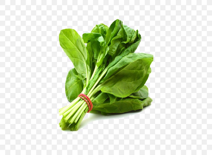 Palak Paneer Leaf Vegetable Spinach Indian Cuisine, PNG, 600x600px, Palak Paneer, Basil, Chard, Choy Sum, Collard Greens Download Free