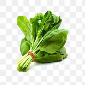 Vegetable - Palak Paneer Leaf Vegetable Spinach Indian Cuisine PNG