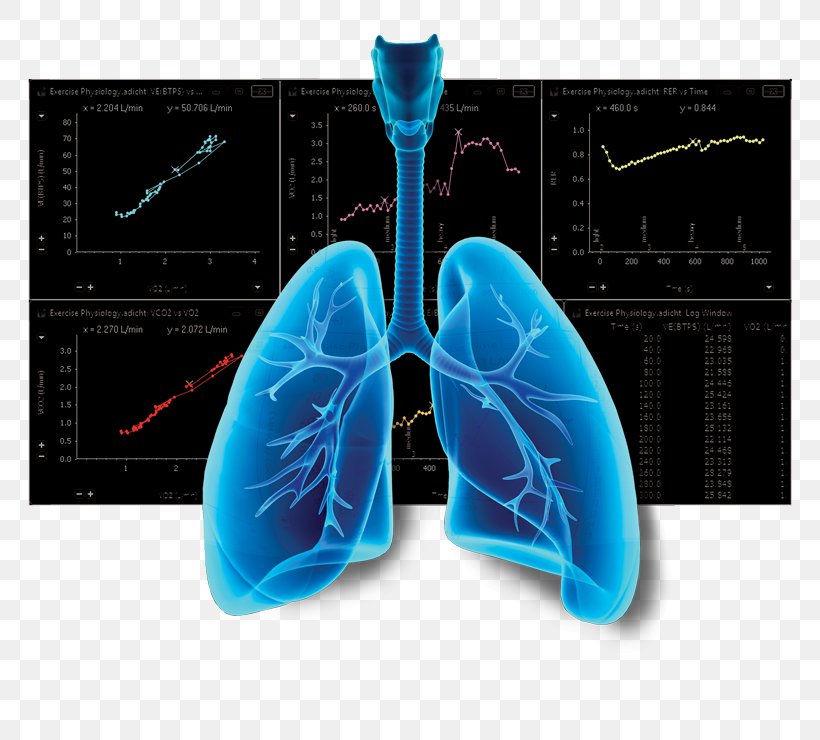 Photography Lung, PNG, 768x740px, Photography, Breathing, Electric Blue, Human Lung, Lung Download Free